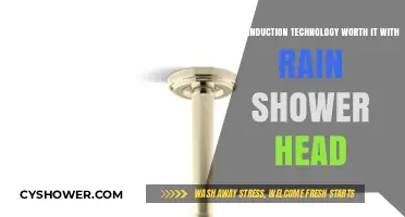 Air Induction Rain Shower Heads: Worth the Upgrade?