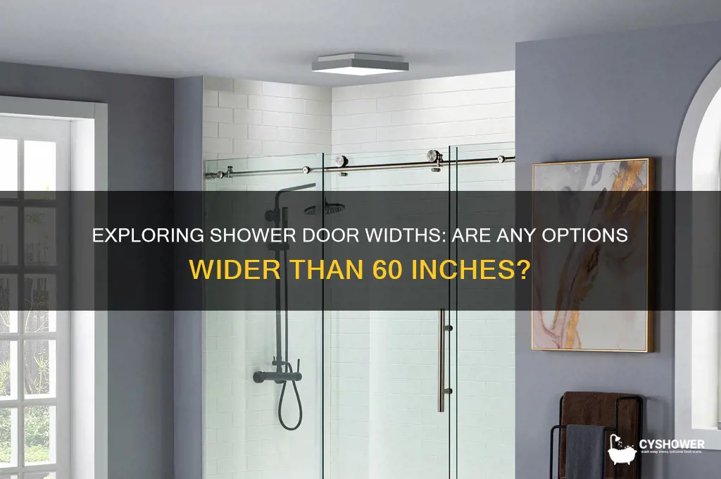 is any shower door wider than 60