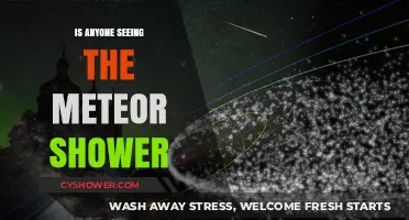 Is Anyone Seeing the Meteor Shower? Tips for Spotting Shooting Stars