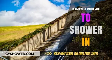 Is Asheville's Tap Water Safe for Showering? A Local's Guide