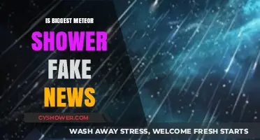 Unveiling the Truth: Is the Biggest Meteor Shower Fake News?