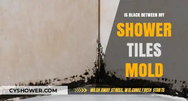 Is Black Between My Shower Tiles Mold? Causes and Solutions