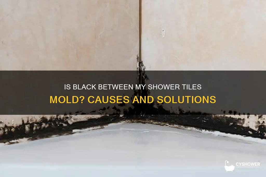 is black between my shower tiles mold