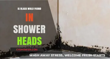 Is Black Mold Lurking in Your Shower Head? Find Out Now