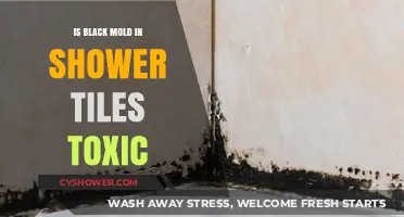 Is Black Mold in Shower Tiles Toxic? Health Risks Explained