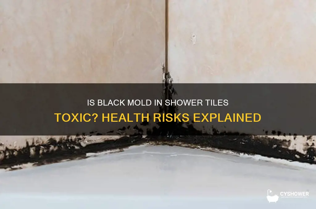 is black mold in shower tiles toxic