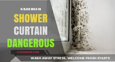Black Mold on Shower Curtains: Health Risks and Prevention Tips