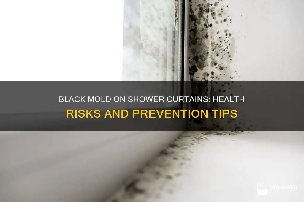 is black mold on shower curtain dangerous
