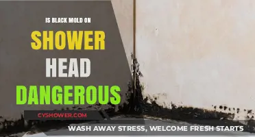 Is Black Mold on Your Shower Head a Health Hazard?