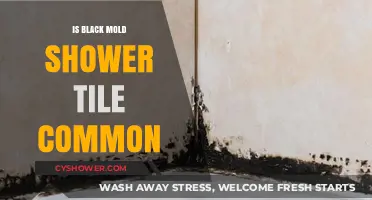 Is Black Mold on Shower Tile Common? Causes and Prevention Tips