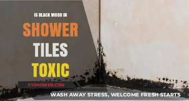 Are Black Shower Tiles Toxic? Uncovering the Truth About Mold Risks
