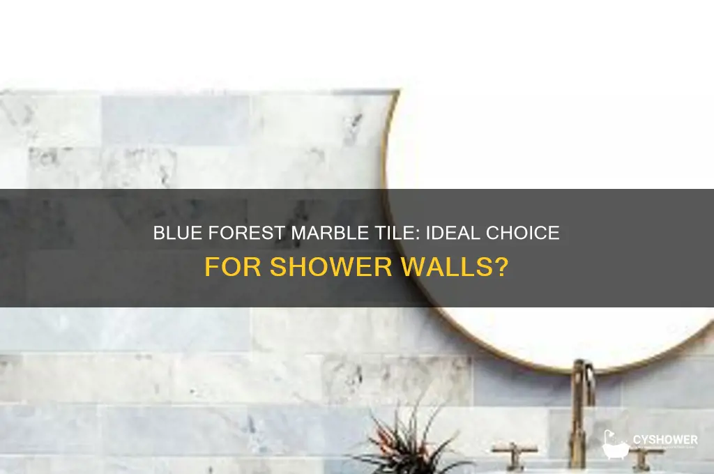 is blue forest marble tile good for shower walls