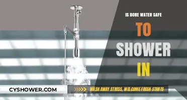Is Bore Water Safe for Showers? Health Risks and Benefits Explained