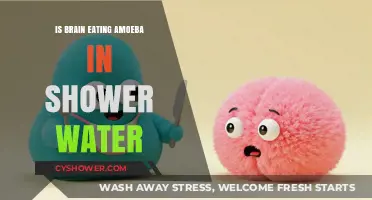 Brain-Eating Amoeba in Shower Water: Myth or Real Danger?