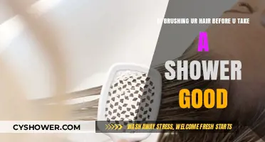 Should You Brush Your Hair Before Showering? Pros and Cons Explained