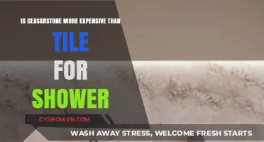 Caesarstone vs. Tile: Which Shower Material Costs More?