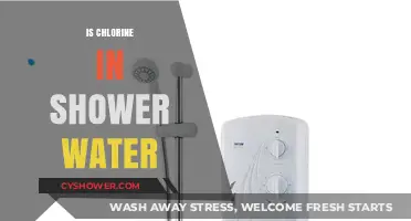 Is Chlorine in Your Shower Water Harmful? What You Need to Know