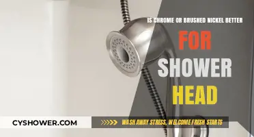 Chrome vs. Brushed Nickel: Which Shower Head Finish Suits You Best?