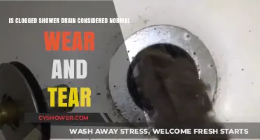 Clogged Shower Drain: Normal Wear and Tear or Maintenance Issue?