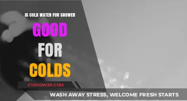 Cold Showers for Colds: Myth or Effective Remedy?