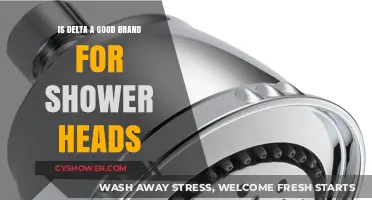 Delta Shower Heads Review: Quality, Durability, and Performance Explored