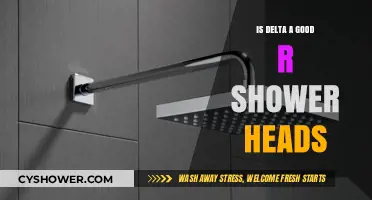 Delta Rain Shower Heads: Are They Worth the Investment?