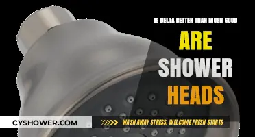 Delta vs. Moen: Which Shower Head Brand Reigns Supreme?
