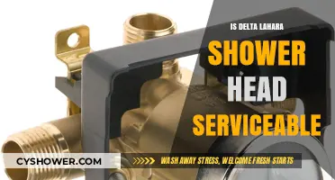 Can You Service a Delta Lahara Shower Head? Expert Insights