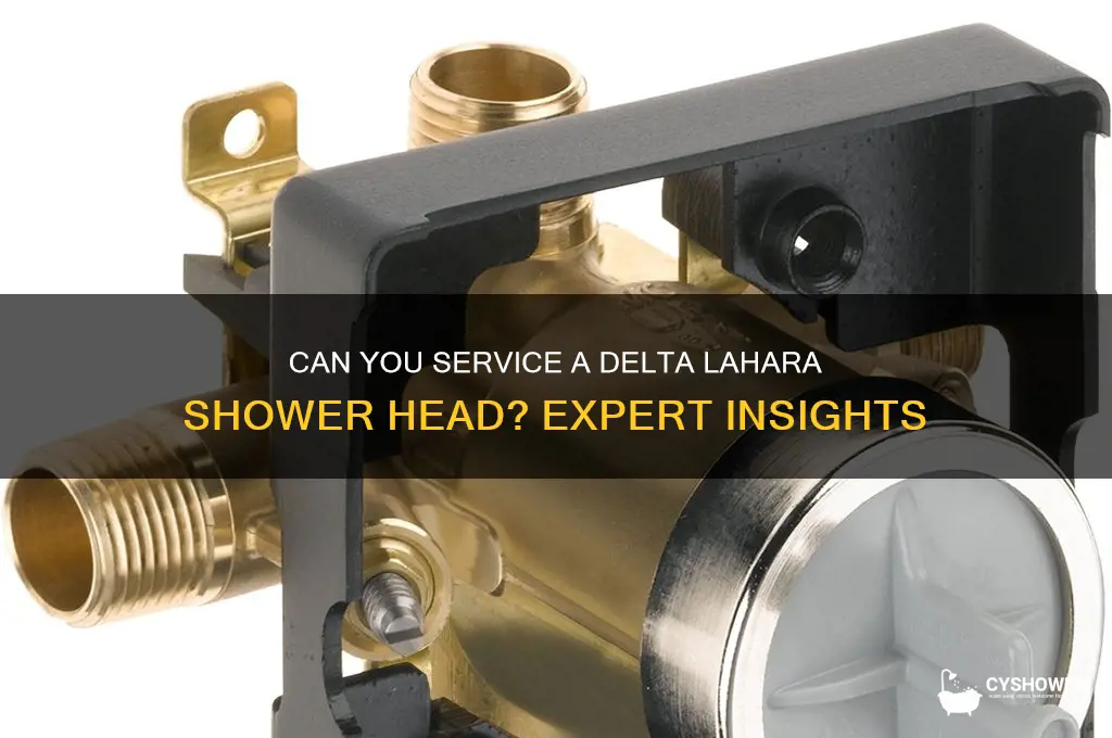 is delta lahara shower head serviceable