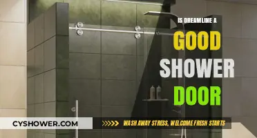 Dreamline Shower Door Review: Quality, Durability, and Value Explored