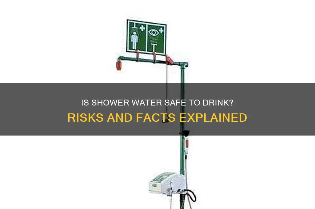 is drinking shower water safe
