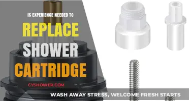 Replacing a Shower Cartridge: Experience Needed or DIY-Friendly Task?
