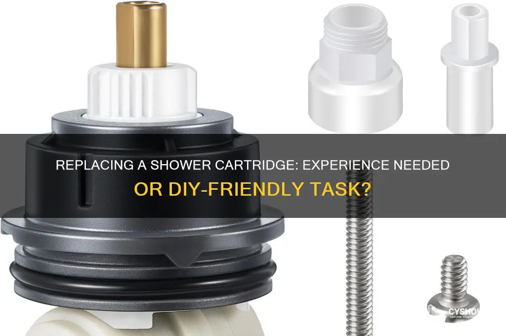 is experience needed to replace shower cartridge