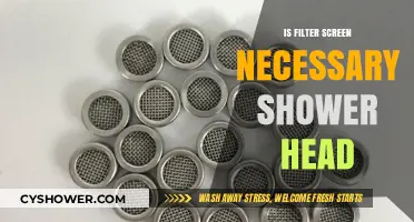 Is a Filter Screen Essential for Your Shower Head? Find Out