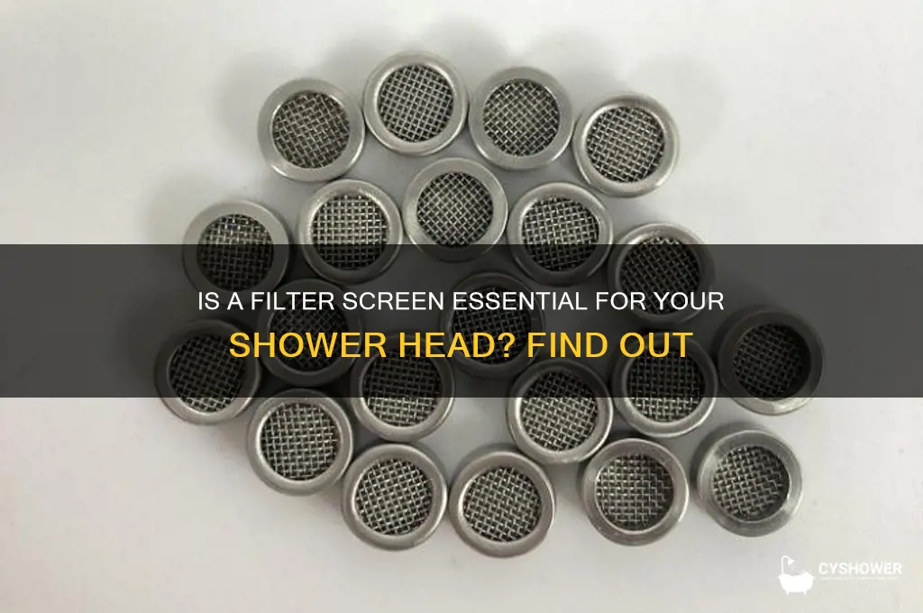 is filter screen necessary shower head