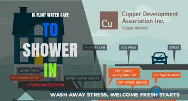 Is Flint's Water Safe for Showering? A Comprehensive Analysis