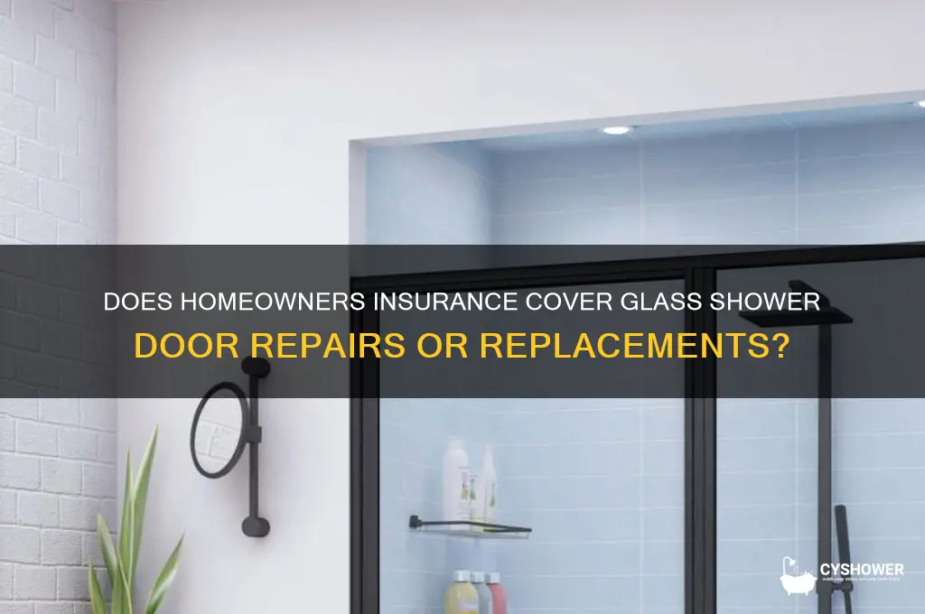 is glass shower door covered by insurance