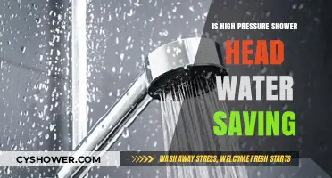 High-Pressure Shower Heads: Eco-Friendly or Water-Wasting?