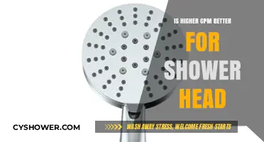 Higher GPM Shower Heads: Better Experience or Wasteful Choice?
