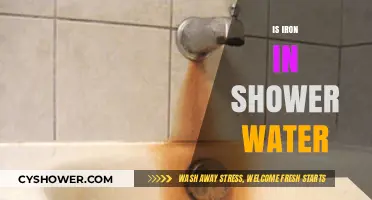 Is Iron in Your Shower Water Causing Stains and Skin Issues?