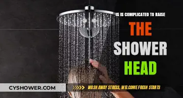 Raising Your Shower Head: Simple Steps or Complicated Task?