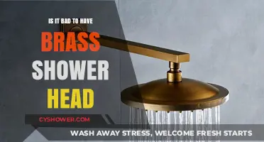 Brass Shower Heads: Pros, Cons, and Health Concerns Explained