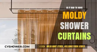 Moldy Shower Curtains: Health Risks and When to Replace Them