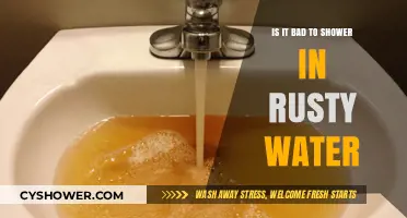 Rusty Water Showers: Health Risks and Safe Solutions Explained