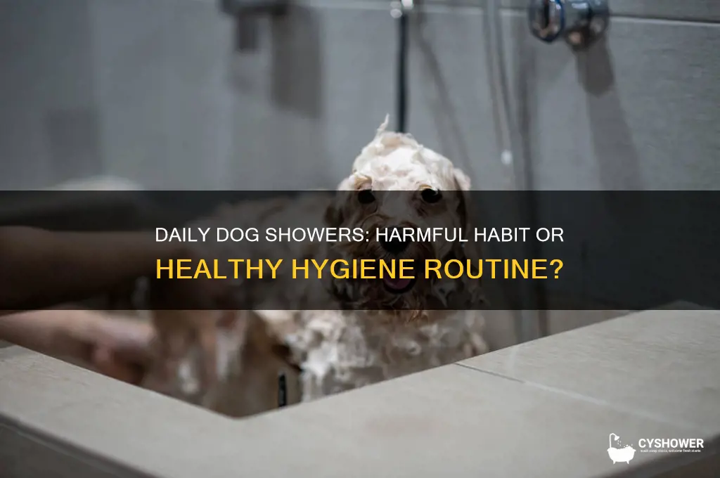 is it bad to take a dog a shower everyday
