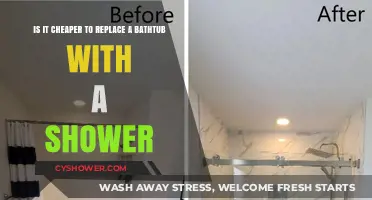Bathtub to Shower Conversion: Cost-Effective Bathroom Renovation Tips