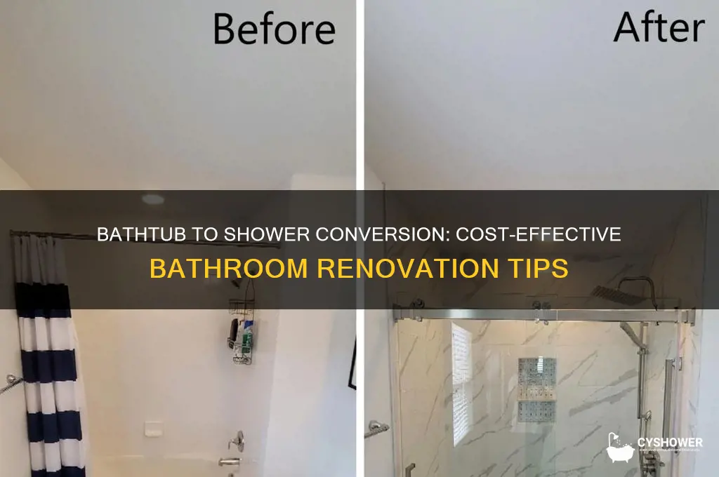 is it cheaper to replace a bathtub with a shower