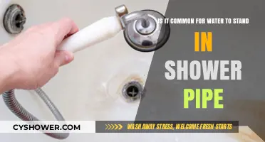 Standing Water in Shower Pipes: How Common Is It?