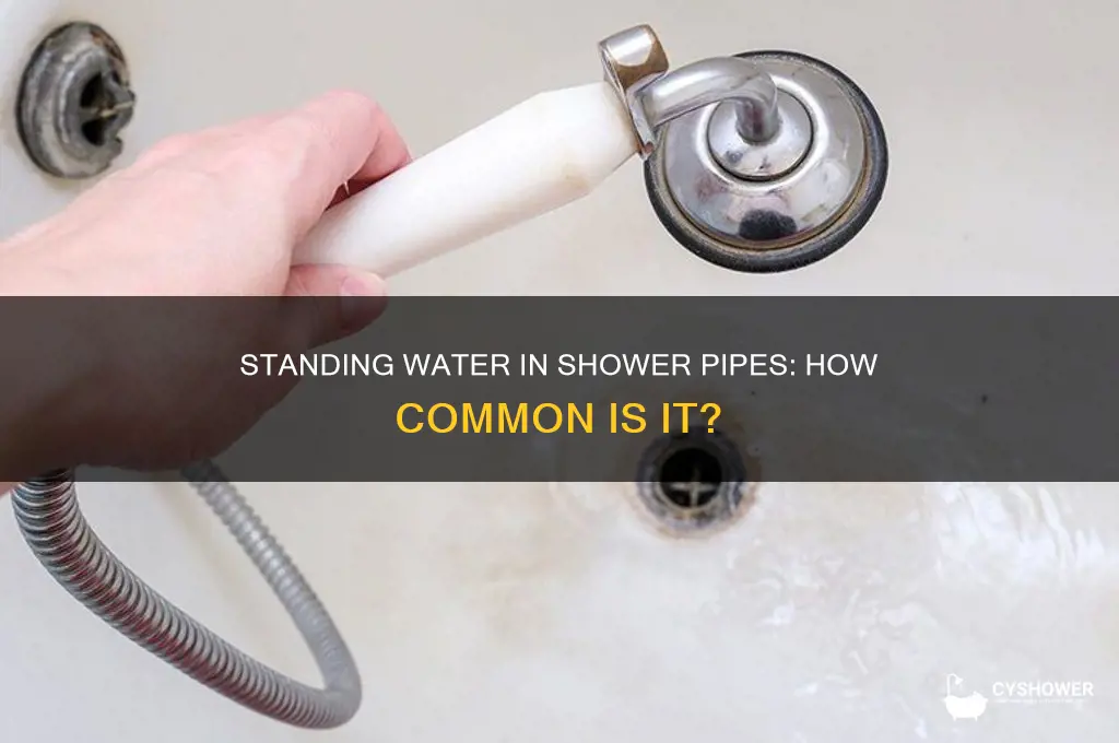 is it common for water to stand in shower pipe