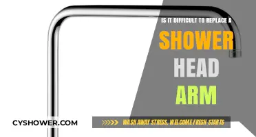 Replacing a Shower Head Arm: A Simple DIY Task or Not?